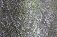 Little Badminton fibreglass roof work